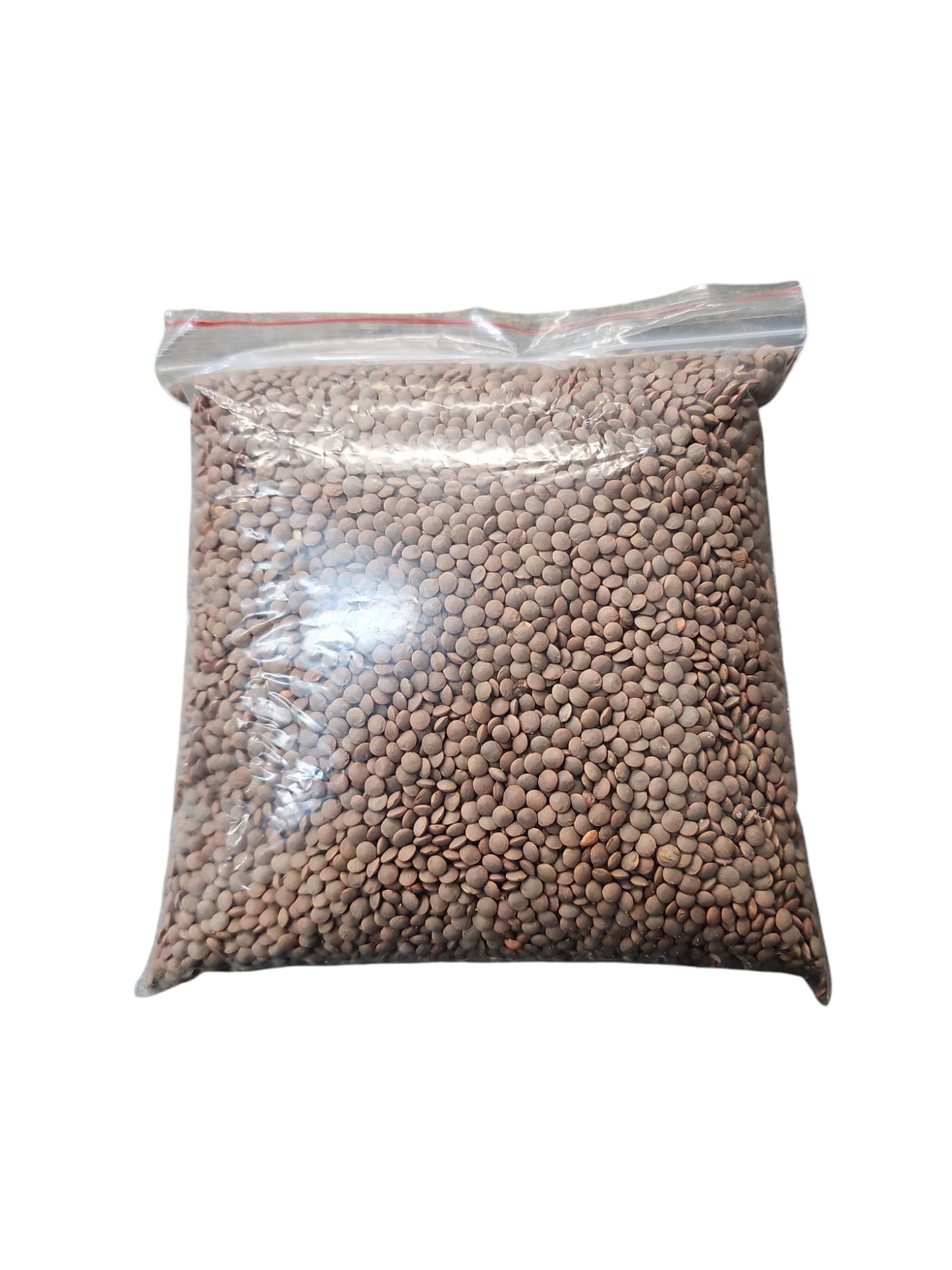 Brown Lentils