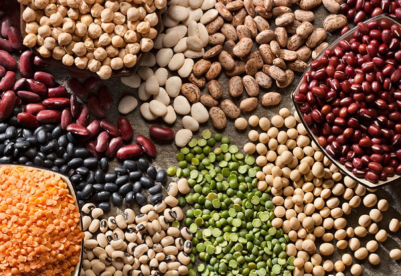 Legumes