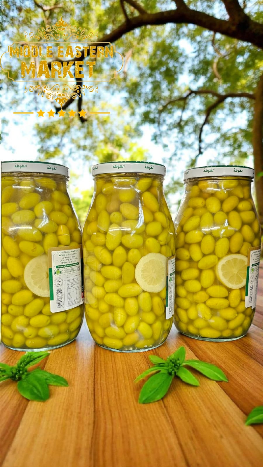 ALGOTA Green Kalamata Olives 2800g